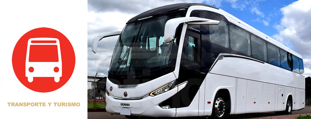 Alquiler de buses de turismo